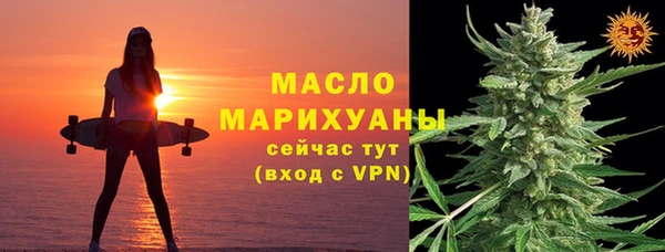 хмурый Арсеньев