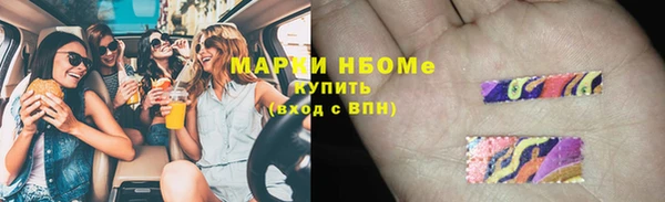 хмурый Арсеньев