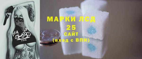 хмурый Арсеньев