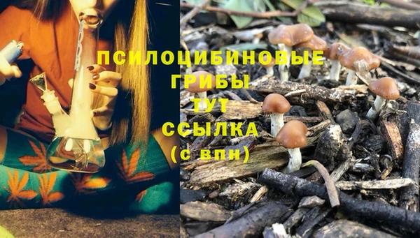 хмурый Арсеньев