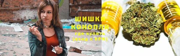 хмурый Арсеньев