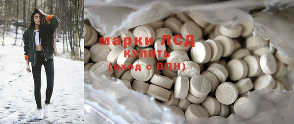 хмурый Арсеньев